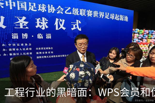 工程行业的黑暗面：WPS会员和伪造印章的奇闻